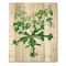 Designart - Vintage Drawing of Wild Plants - Traditional Print on Natural Pine Wood